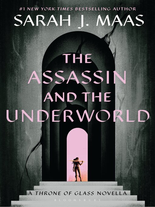 Couverture de The Assassin and the Underworld